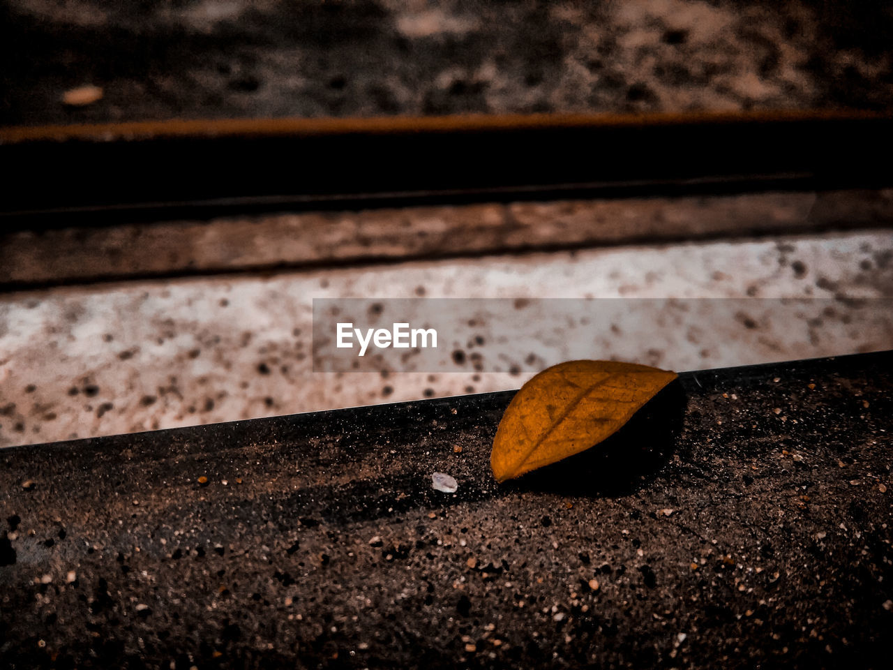 HIGH ANGLE VIEW OF LEAF ON RAILROAD TRACKS