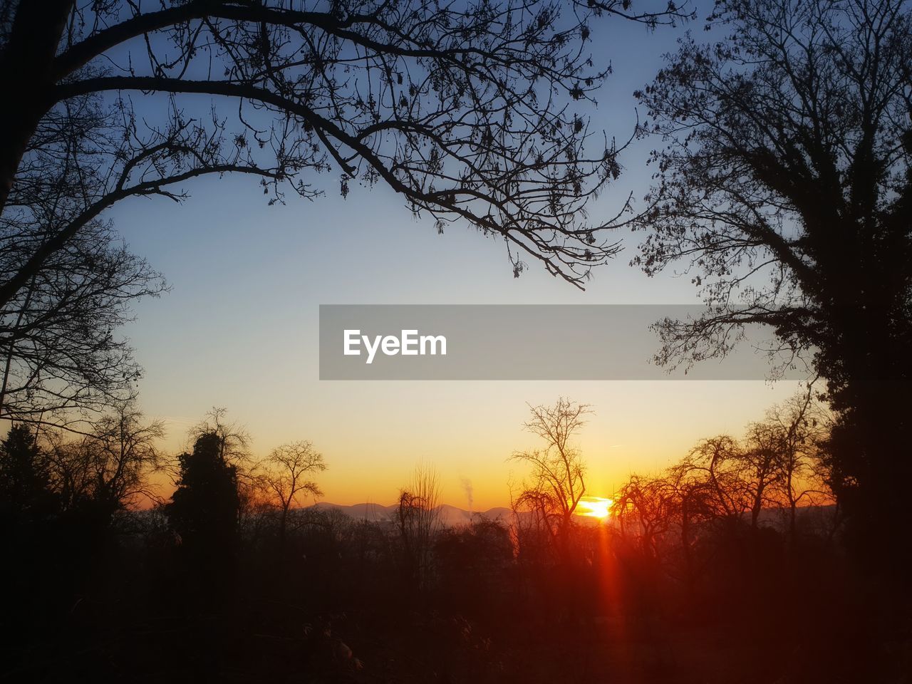 SILHOUETTE OF BARE TREES AGAINST SKY DURING SUNSET