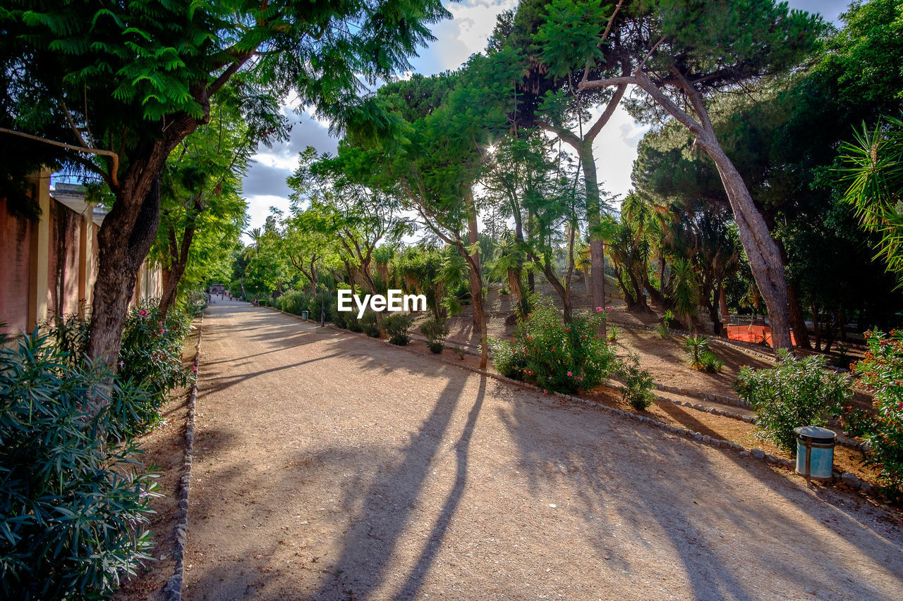 Road amidst trees against sky