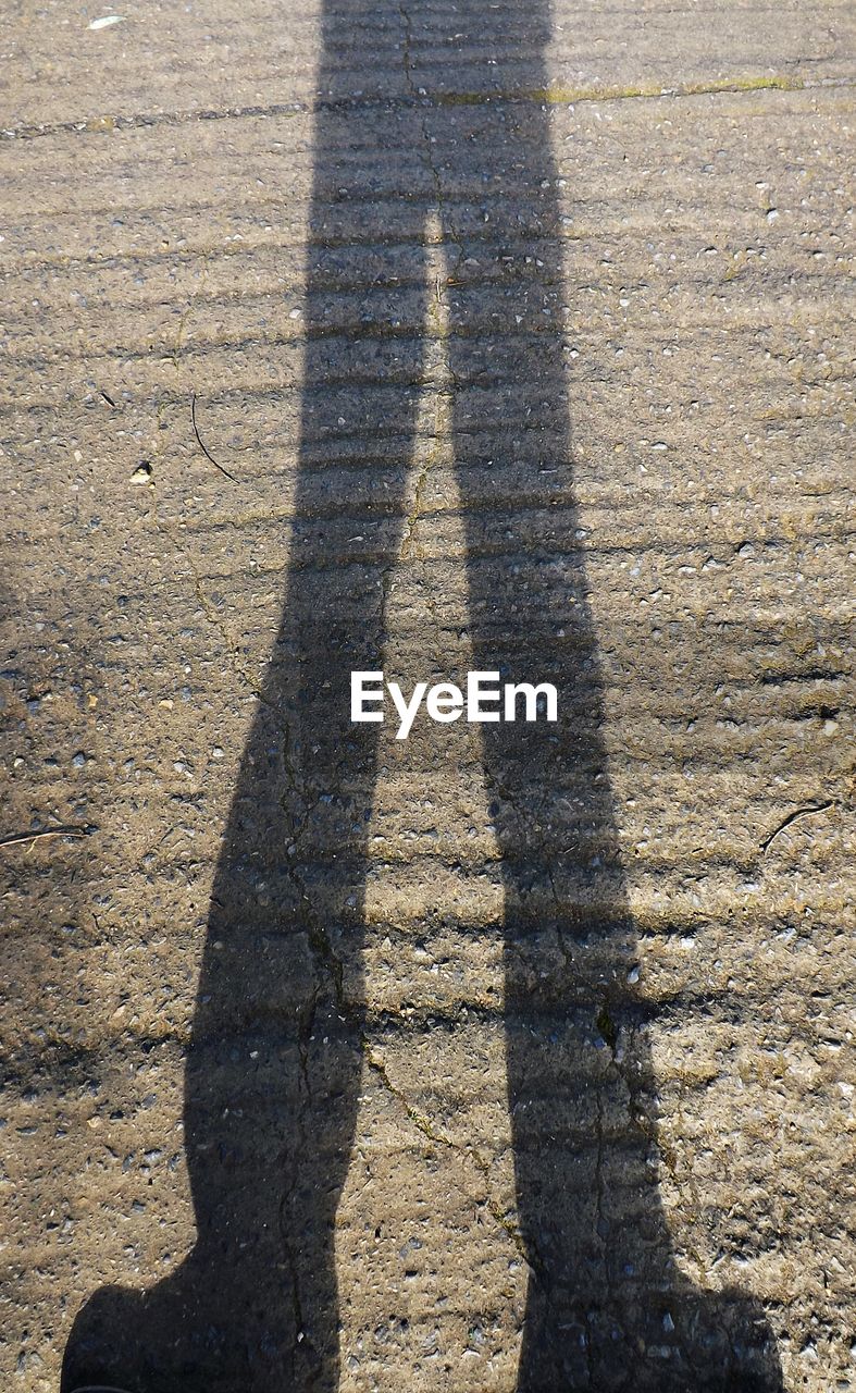 LOW SECTION OF MAN WITH SHADOW ON ROAD