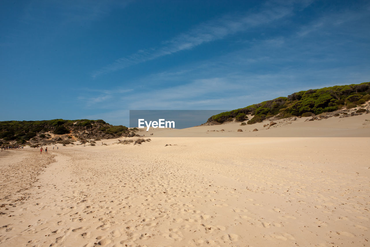 land, sand, sky, landscape, environment, beach, sea, scenics - nature, sand dune, nature, water, beauty in nature, cloud, travel destinations, travel, desert, tranquility, clear sky, tourism, blue, animal wildlife, dune, natural environment, sunny, coastline, water's edge, non-urban scene, summer, trip, holiday, vacation, tranquil scene, sunlight, footprint, outdoors, hill, animal, no people, seascape, horizon, accidents and disasters, coast, absence, singing sand, plant, sun, nature reserve, day, idyllic, semi-arid, climate, animal themes, pattern, outdoor pursuit, tree, arid climate, urban skyline, motion, tropical climate, extreme terrain, sunset, solitude