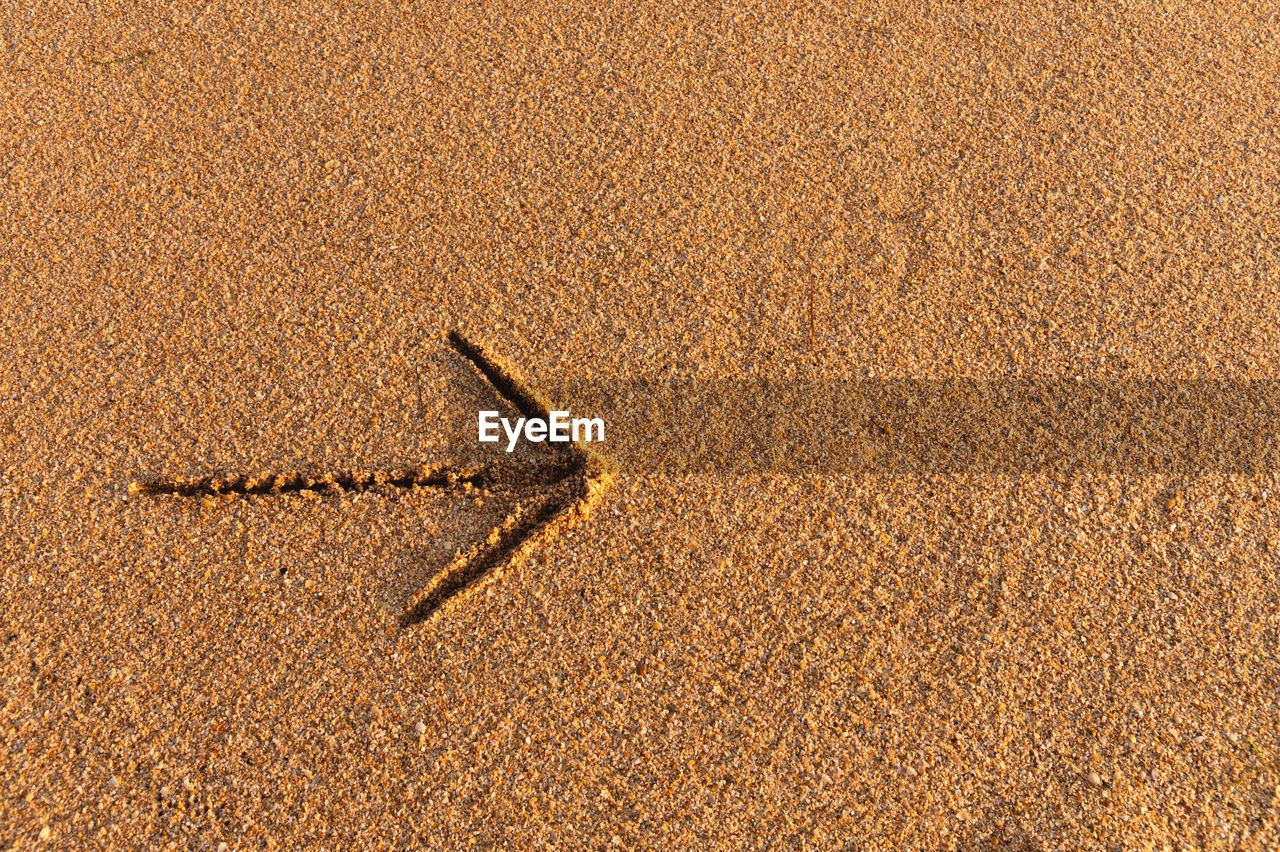 An arrow indicating the direction to the right, an inscription on the sand near the ocean or sea
