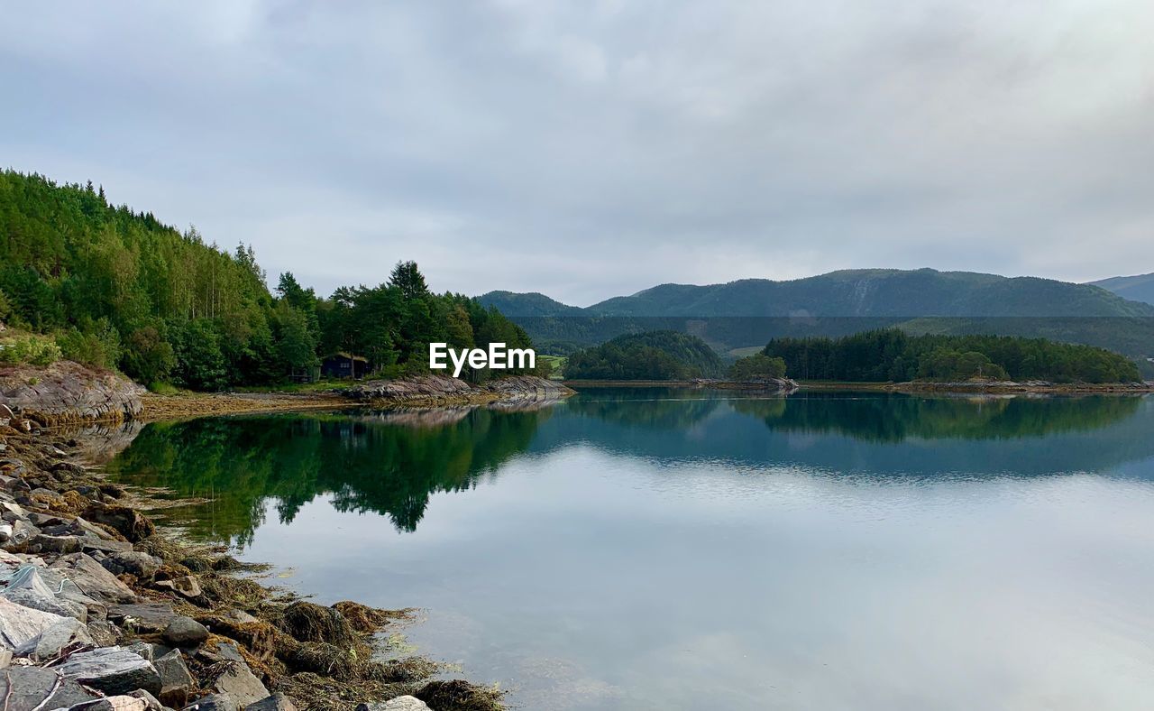 Scenic view of lake by trees against sky