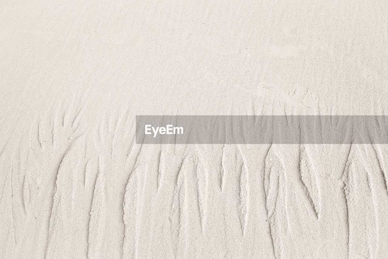 Sand texture. sandy beach for background. top view