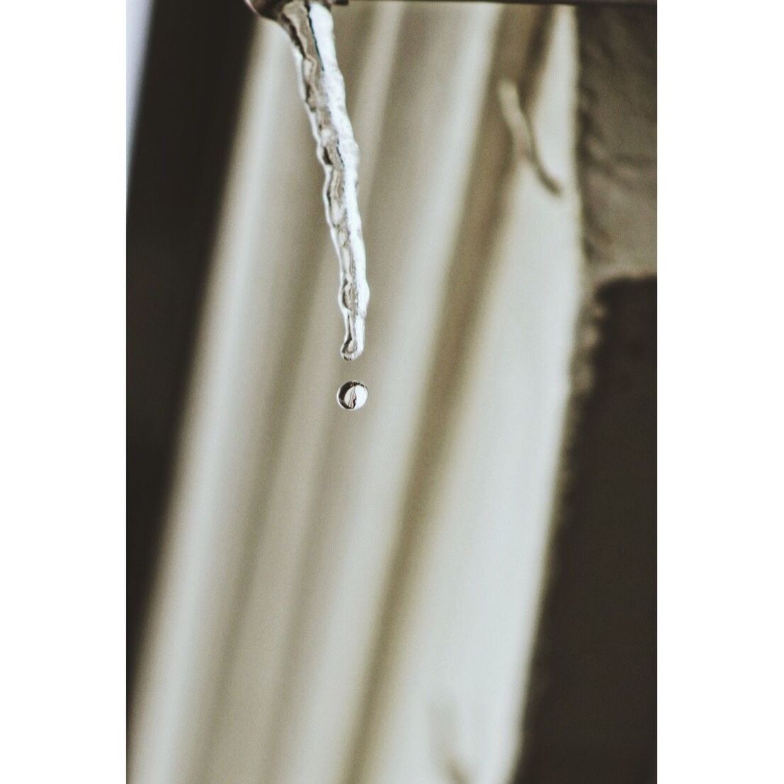 CLOSE-UP OF WATER DROPS ON LEAF