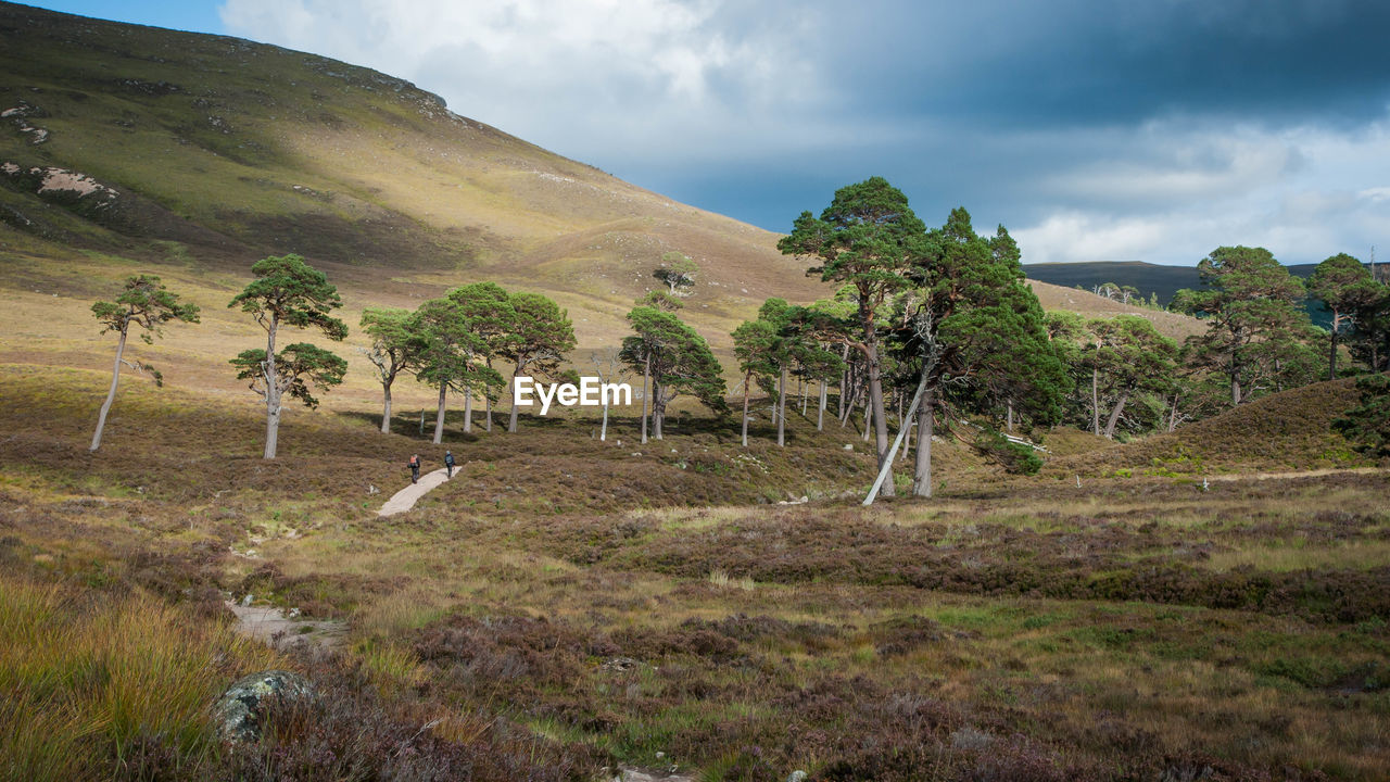 Scenic view of landscape against cloudy sky