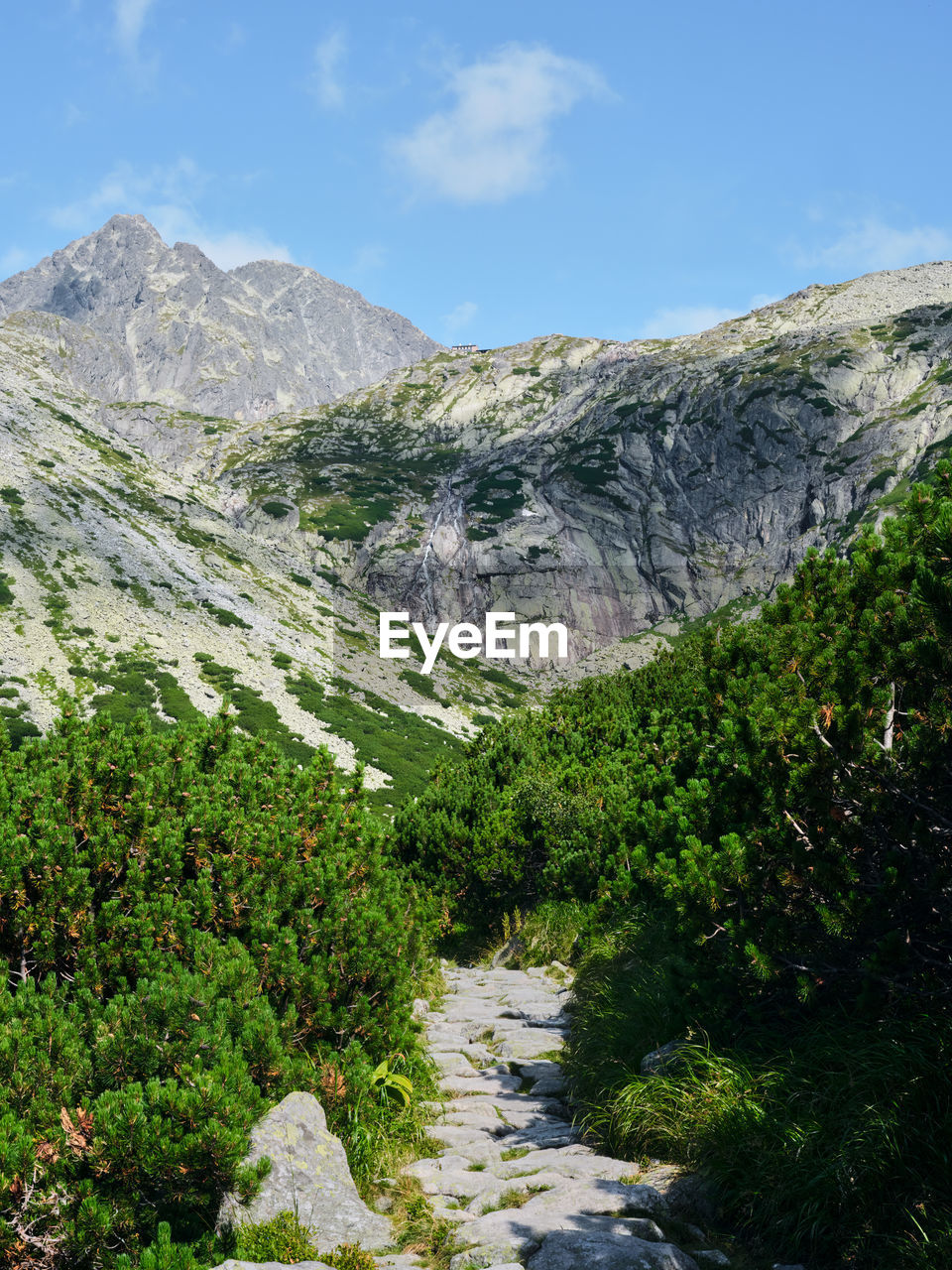 mountain, scenics - nature, beauty in nature, environment, plant, nature, landscape, sky, land, mountain range, tree, valley, cloud, no people, water, rock, non-urban scene, green, travel destinations, day, tranquility, tranquil scene, travel, wilderness, forest, outdoors, walking, footpath, pine tree, coniferous tree, mountain pass, tourism, idyllic, pinaceae, activity, mountain peak, river, adventure, blue, pine woodland