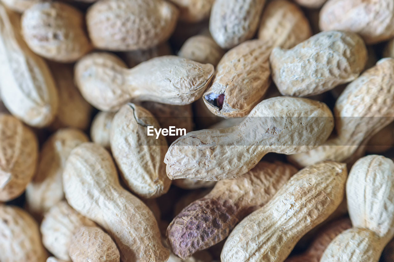 food and drink, food, healthy eating, freshness, nuts & seeds, wellbeing, produce, large group of objects, close-up, plant, full frame, backgrounds, sunflower seed, no people, abundance, still life, nut, indoors, brown, nut - food, seed, almond, fruit, dried food