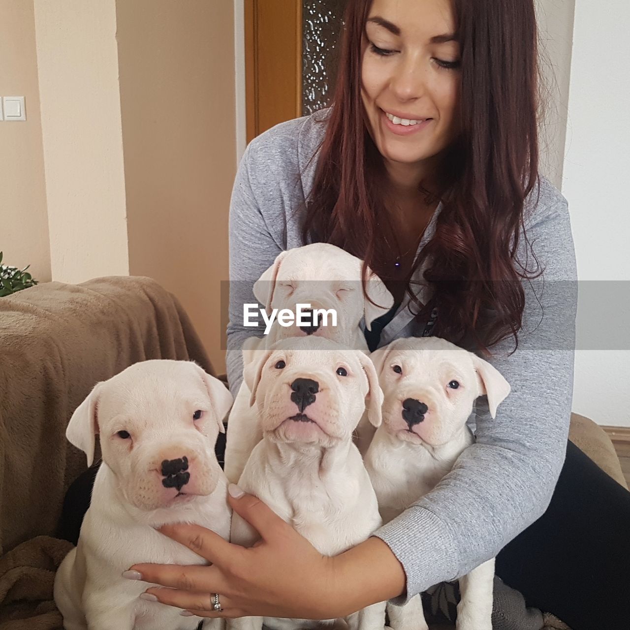 Smiling woman with puppies sitting on sofa at home