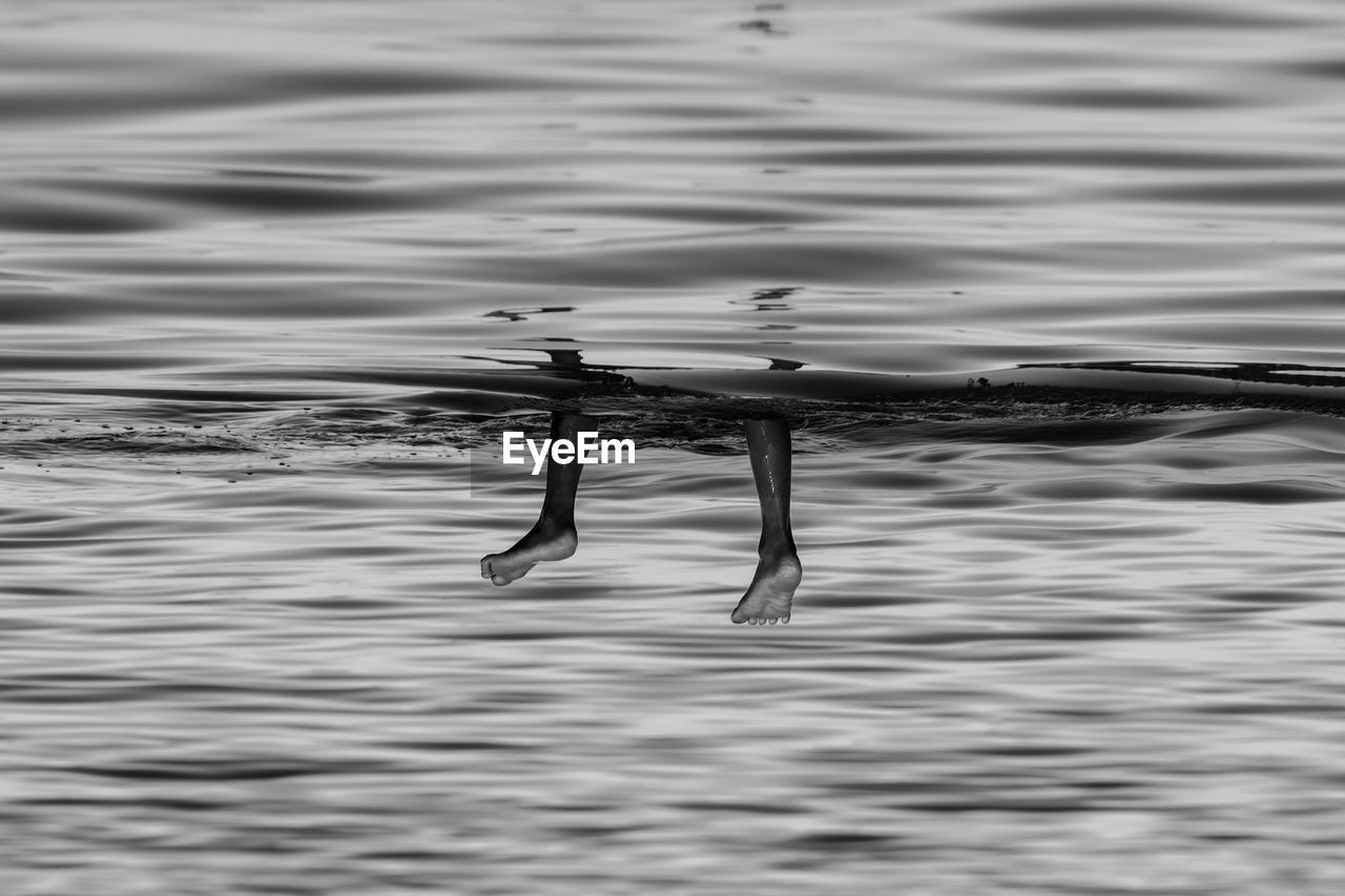 Low section of person swimming in lake