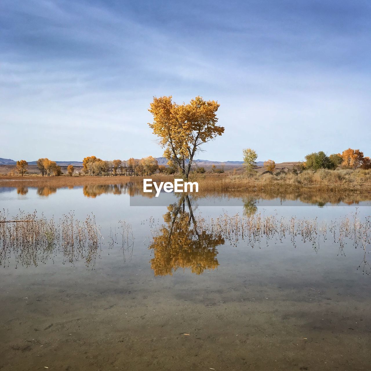 Scenic view of lake against sky