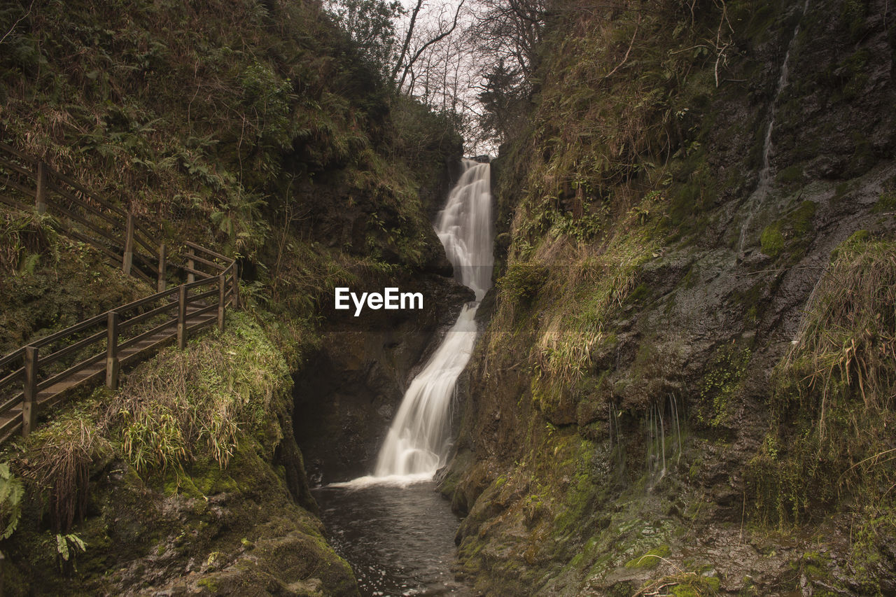 Scenic view of waterfall in forest