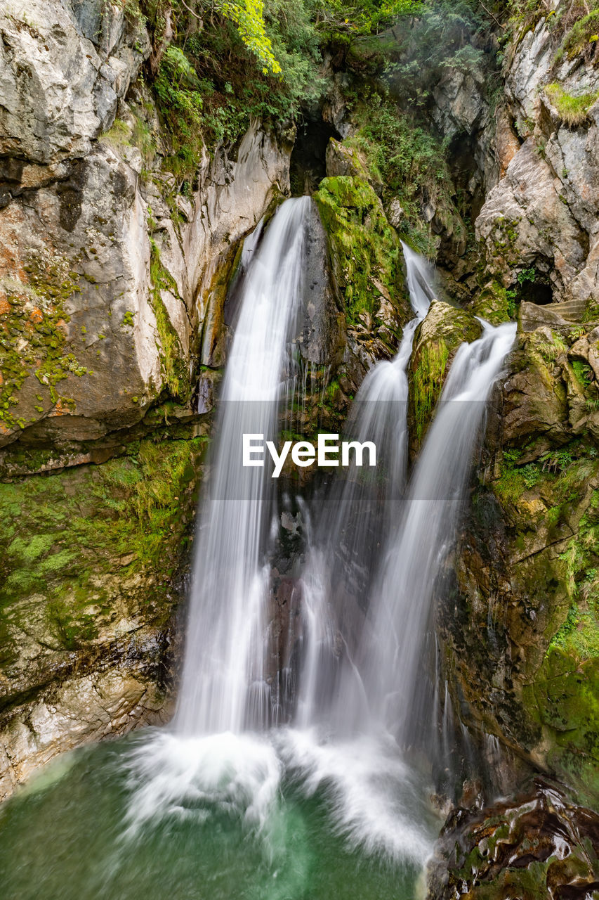 Scenic view of waterfall in forest