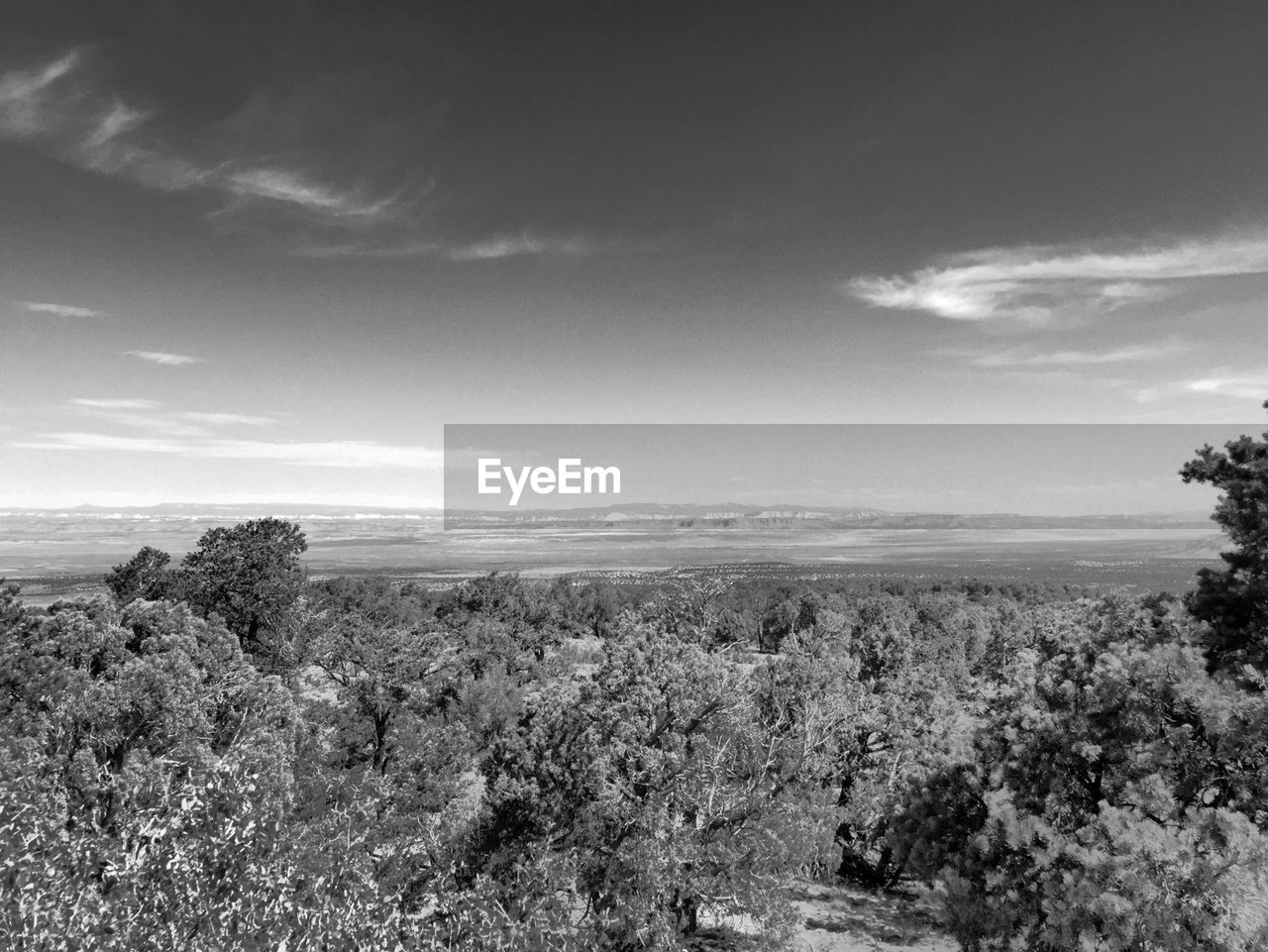 SCENIC VIEW OF LANDSCAPE WITH SEA