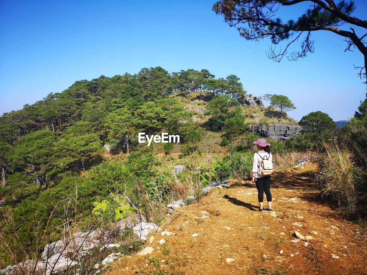 Rear view of woman standing by mountain against clear blue sky