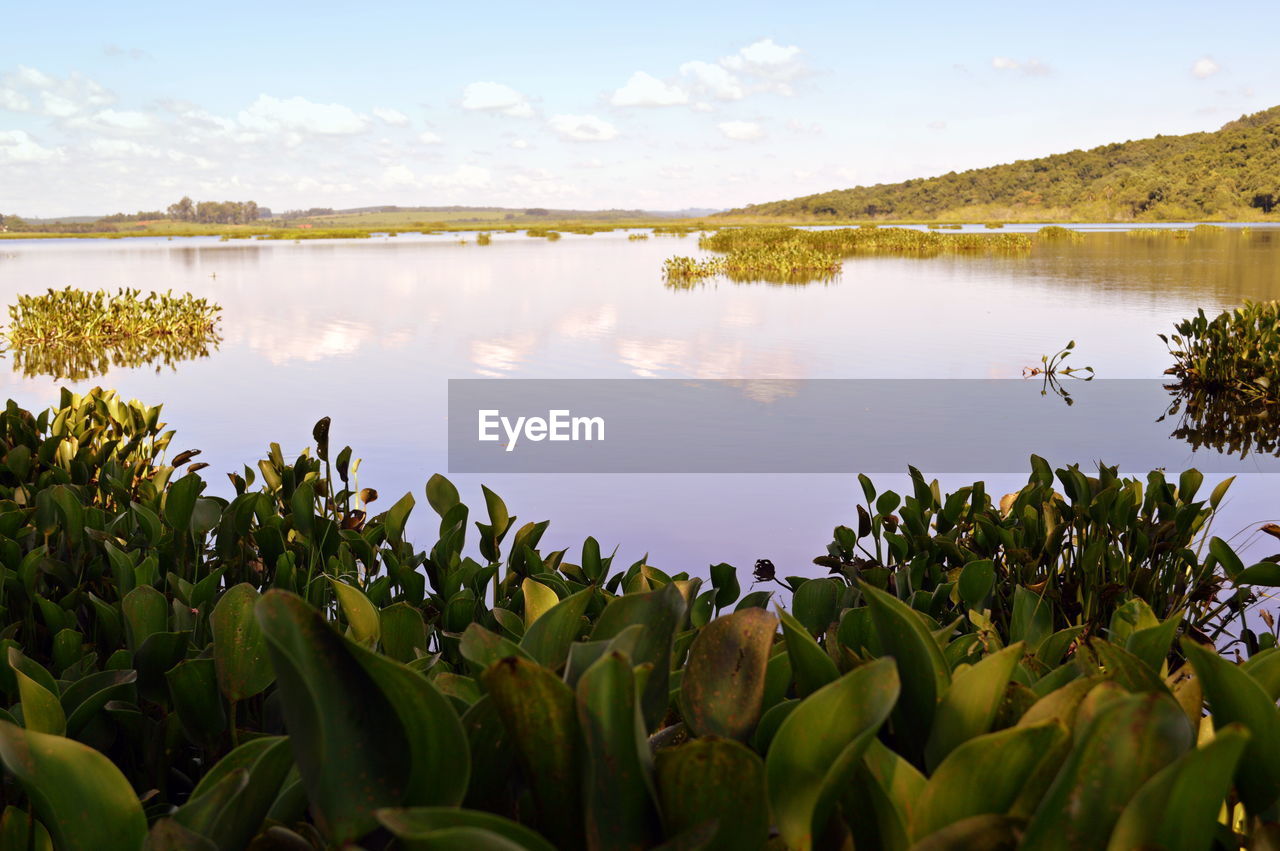 PANORAMIC VIEW OF LAKE AGAINST SKY