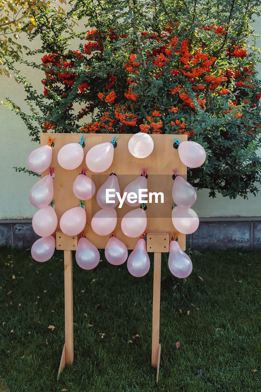 Pink balloons on background of the backyard with green grass and orange flowers