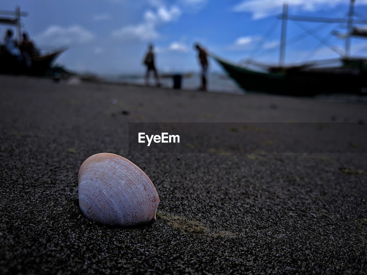 SURFACE LEVEL OF SHELLS ON SHORE