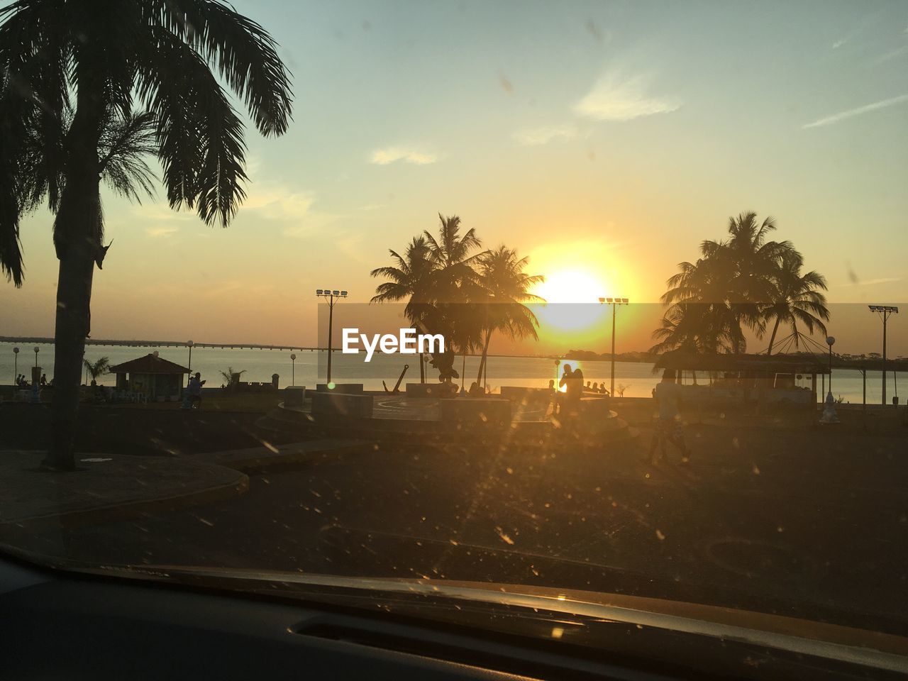 SILHOUETTE OF PALM TREES AT SEASIDE