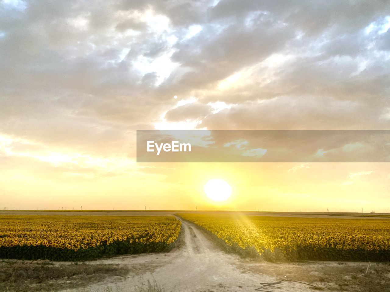 SCENIC VIEW OF FARM AGAINST SKY DURING SUNSET