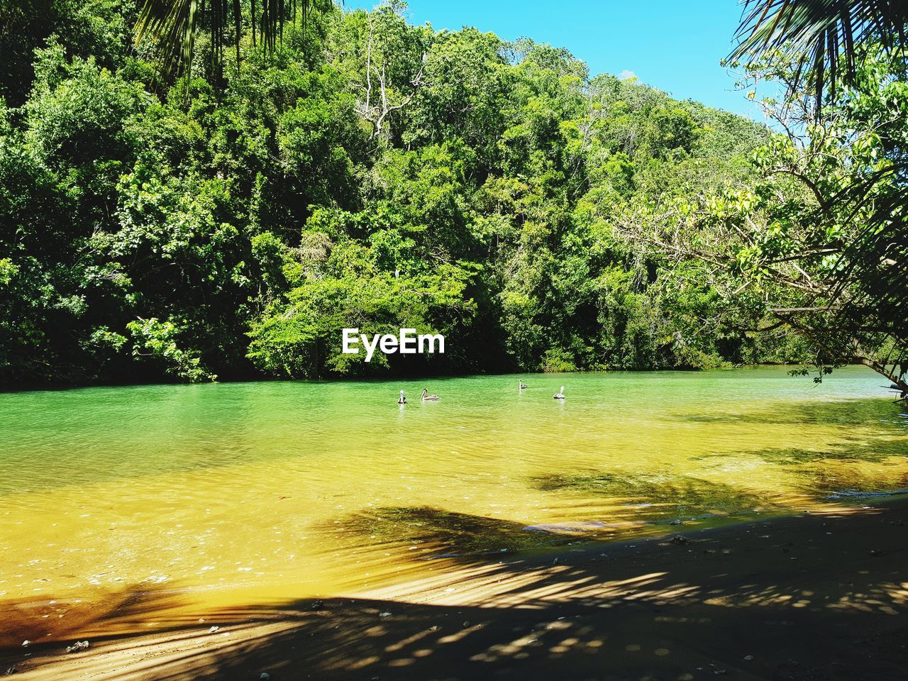 SCENIC VIEW OF LAKE