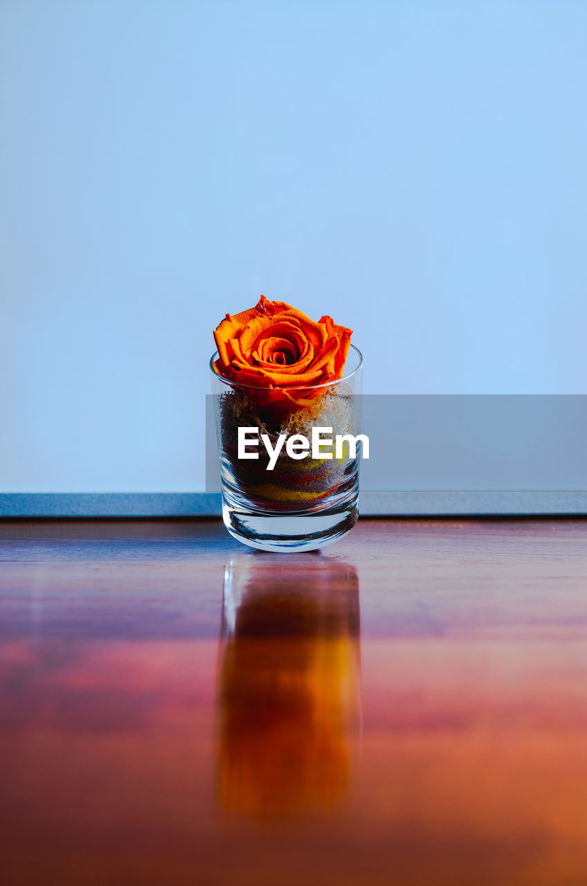 Rose in jar on table