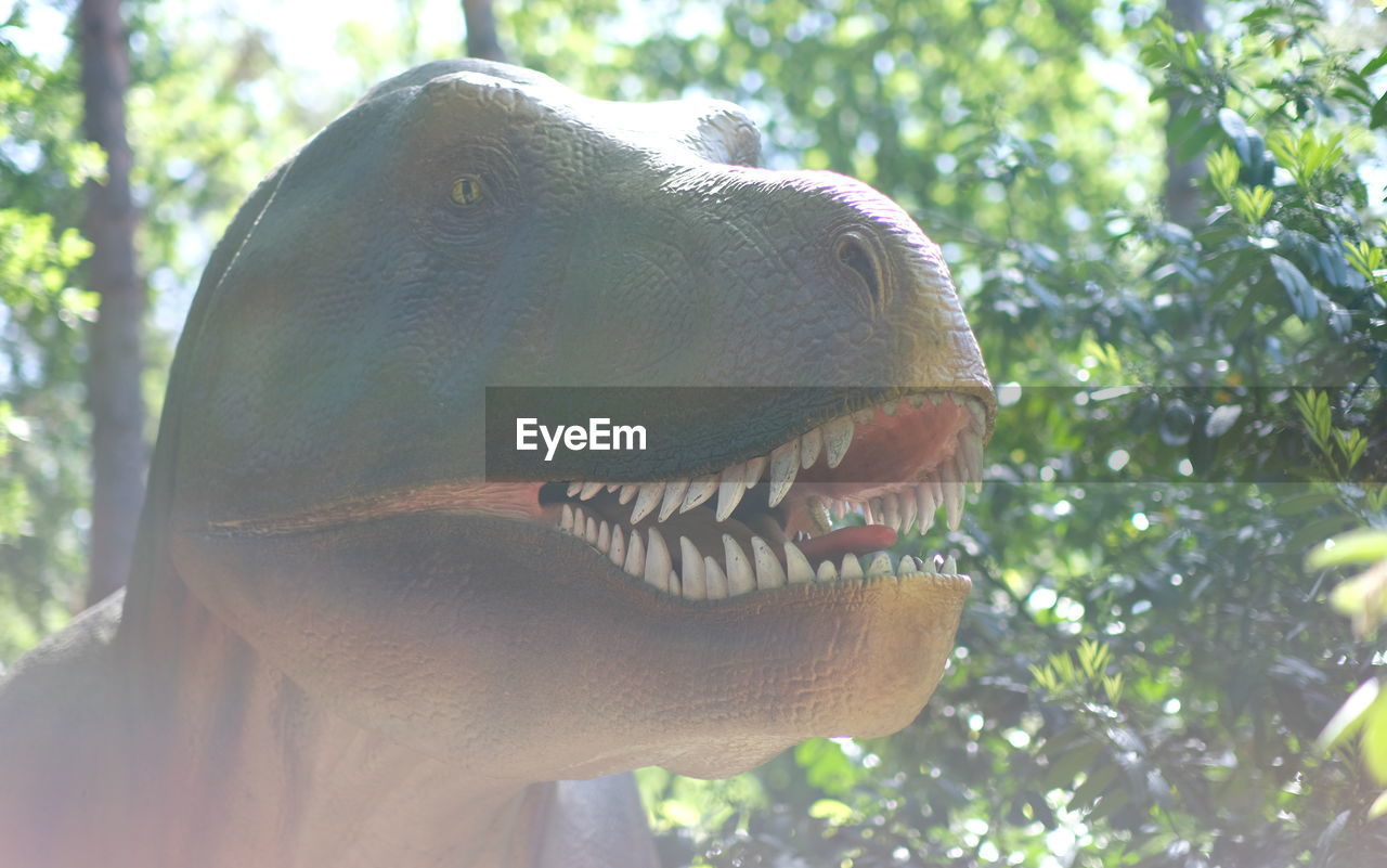 animal, animal themes, dinosaur, one animal, animal body part, animal teeth, nature, smiling, animal wildlife, tree, teeth, mouth open, headshot, animal mouth, plant, extinct, outdoors, close-up, animal representation, day, animal head, wildlife, emotion, happiness, portrait, representation, sunlight