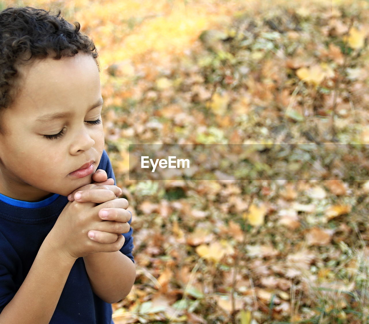 Close-up of boy praying in park during autumn