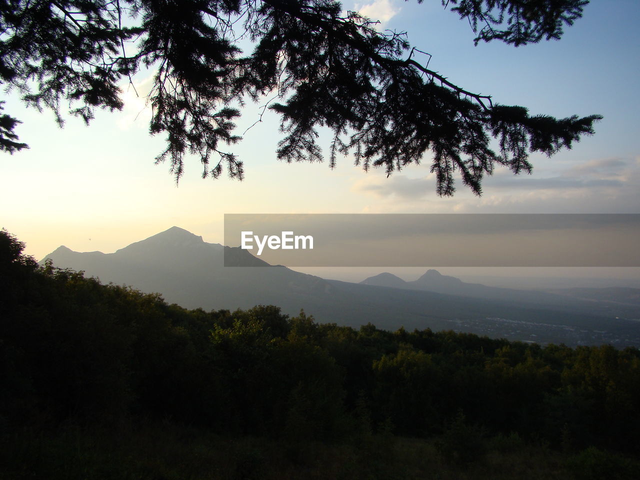 SILHOUETTE TREES AGAINST MOUNTAINS DURING SUNSET