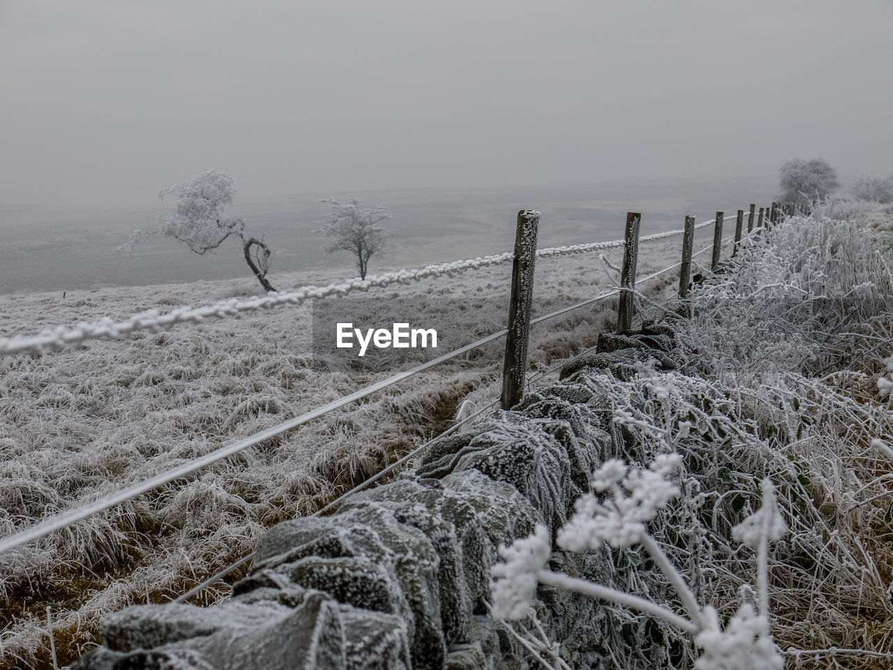 SNOW COVERED LANDSCAPE AGAINST SKY