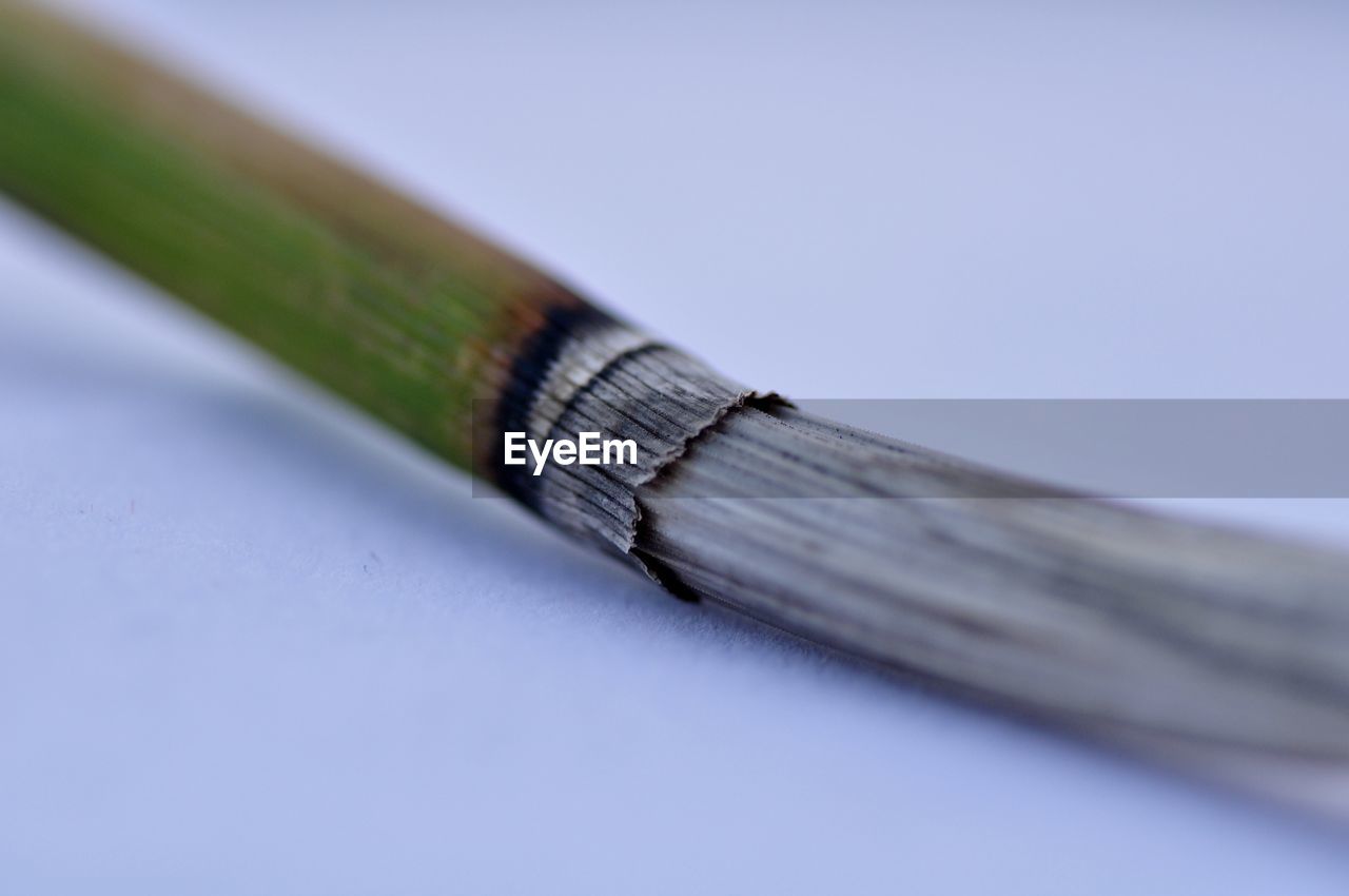 CLOSE-UP OF PENCILS ON TABLE