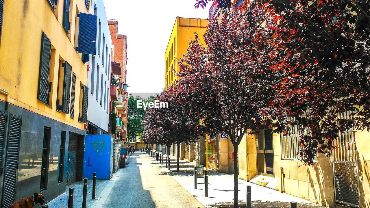 WALKWAY ALONG BUILDINGS IN CITY