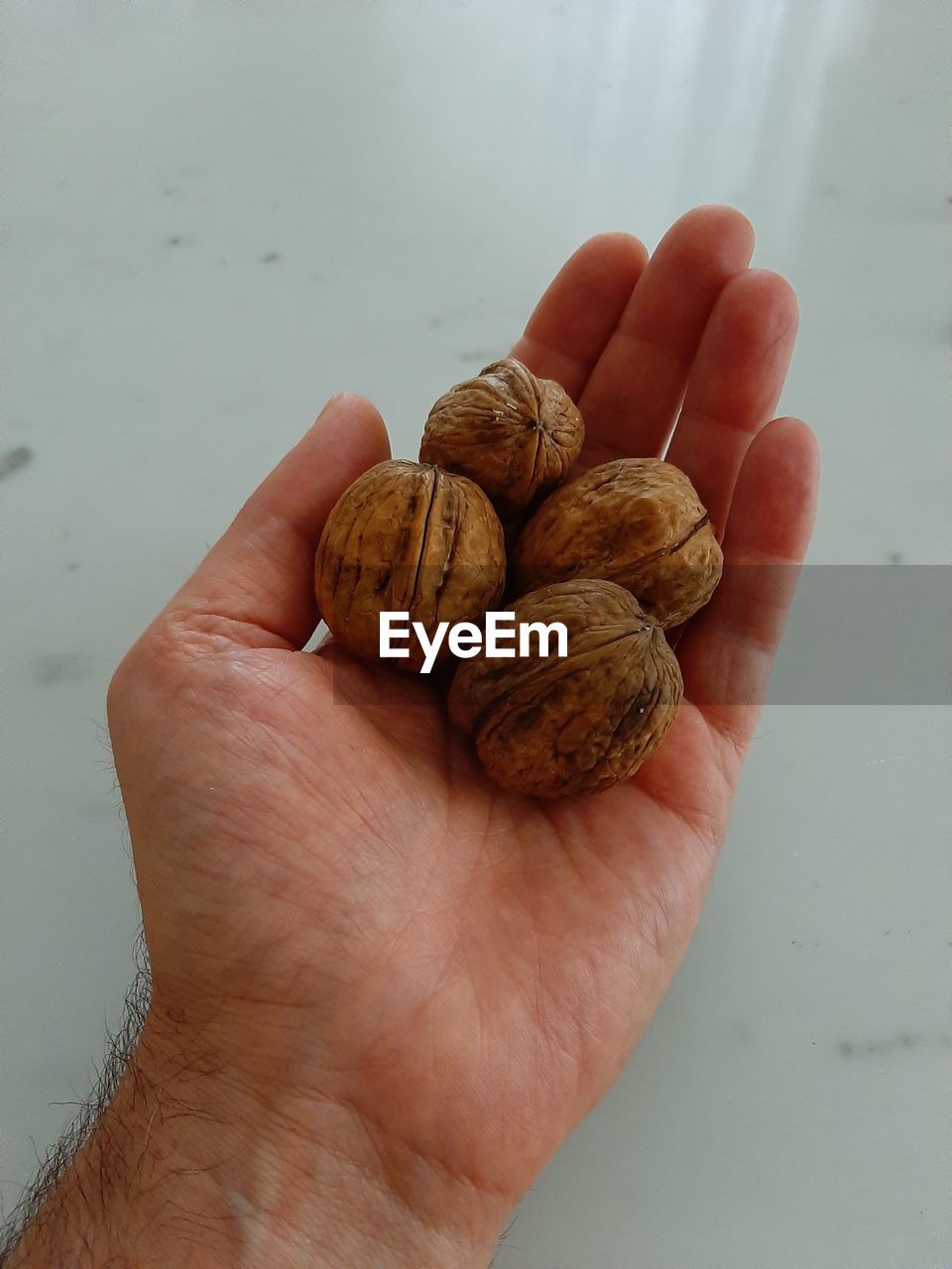 CLOSE-UP OF PERSON HAND HOLDING BREAD