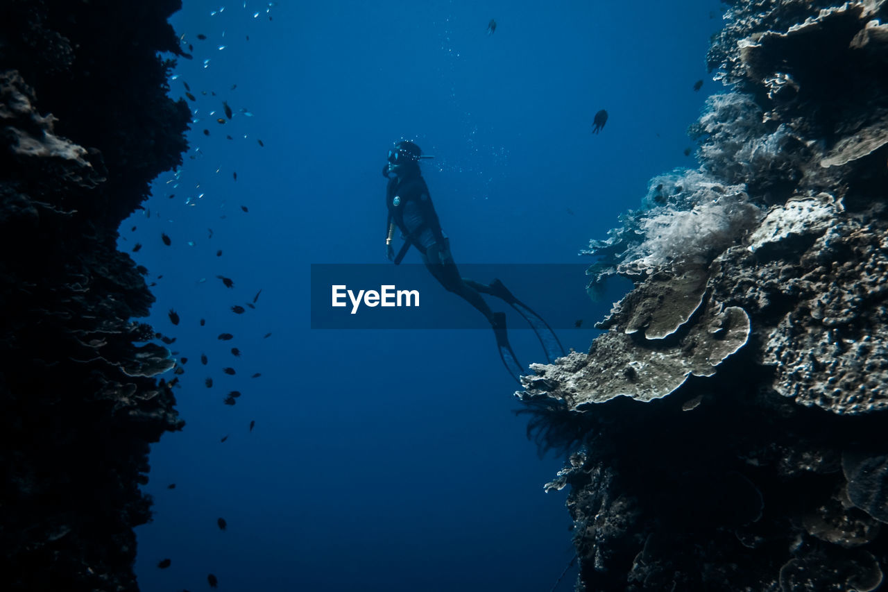 Woman scuba diving in sea