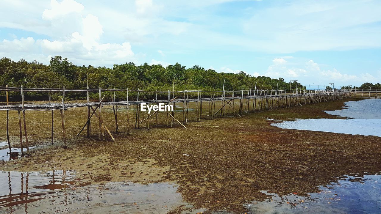 PLANTS BY RIVER AGAINST SKY