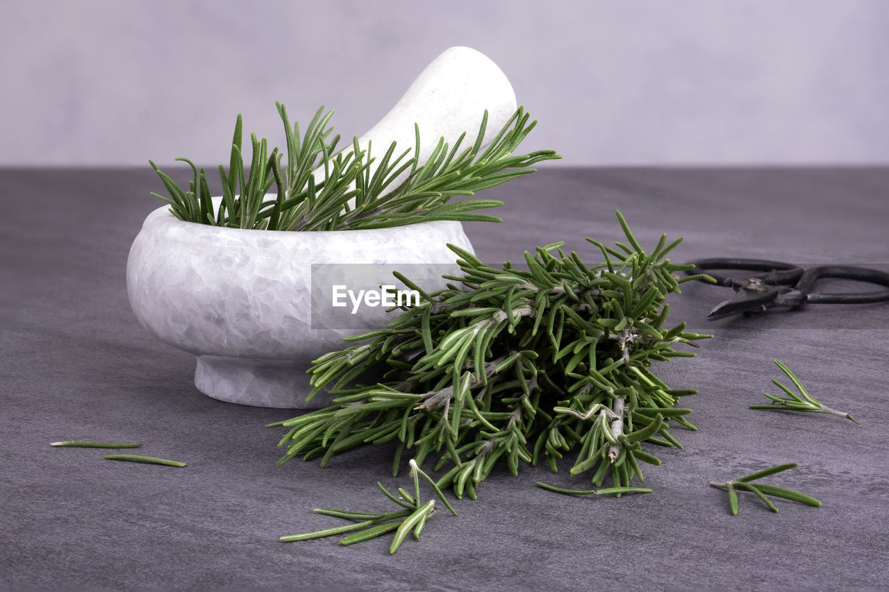 rosemary, herb, plant, food, food and drink, grass, flower, studio shot, wellbeing, indoors, no people, freshness, nature, green, gray, ingredient, spice, healthy eating, vegetable, leaf, plant part, fines herbes, branch, gray background, still life, medicine, thyme