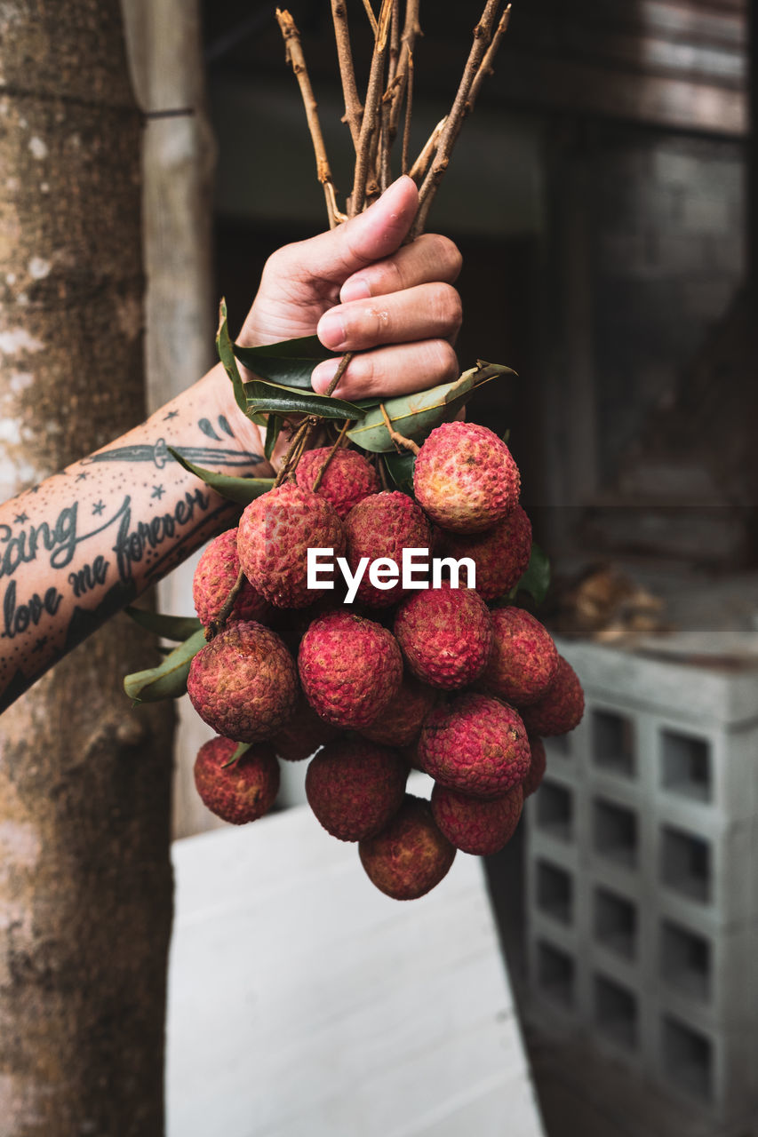 Close-up of hand holding litchis