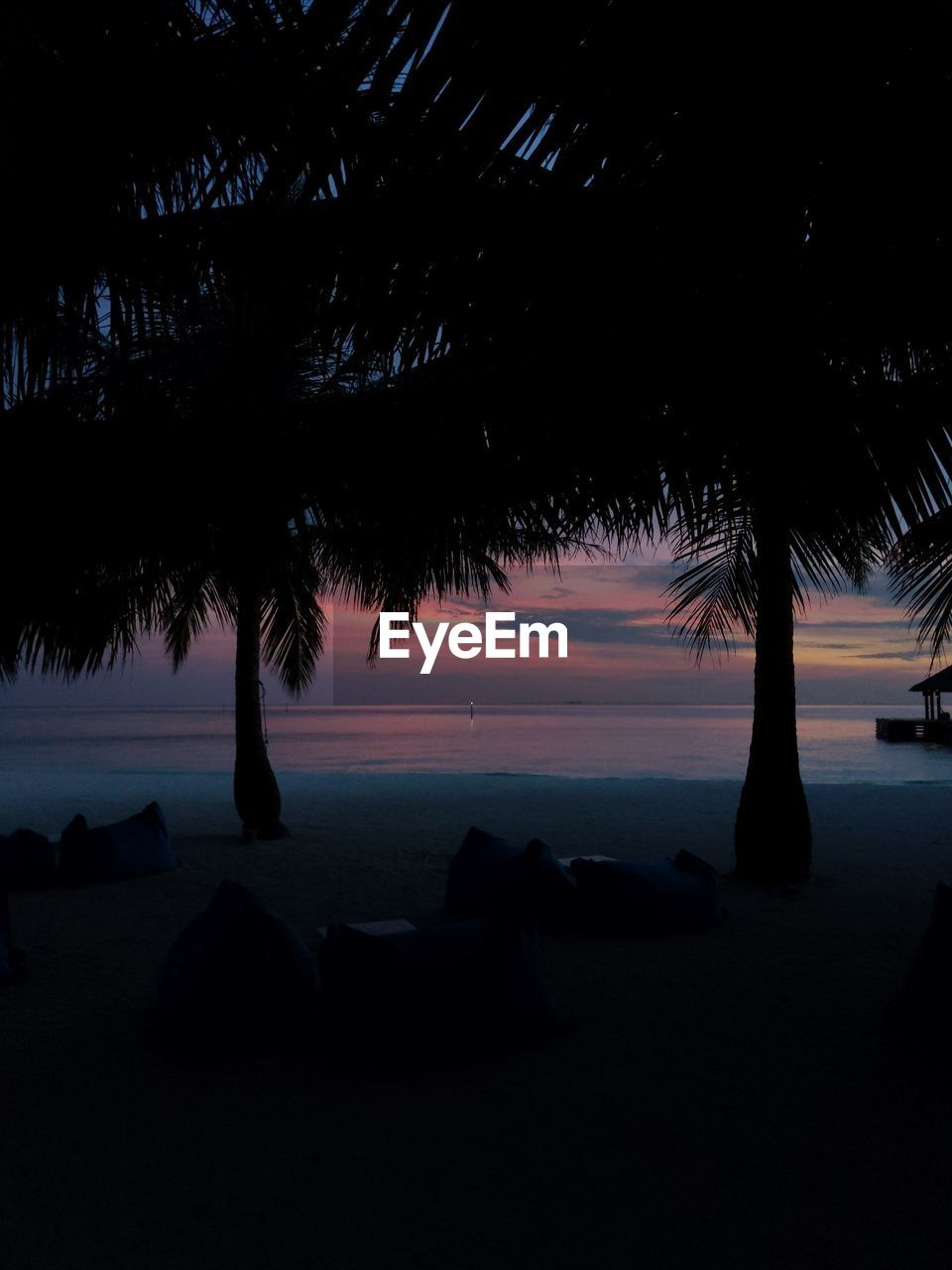 SILHOUETTE TREES ON BEACH AT SUNSET