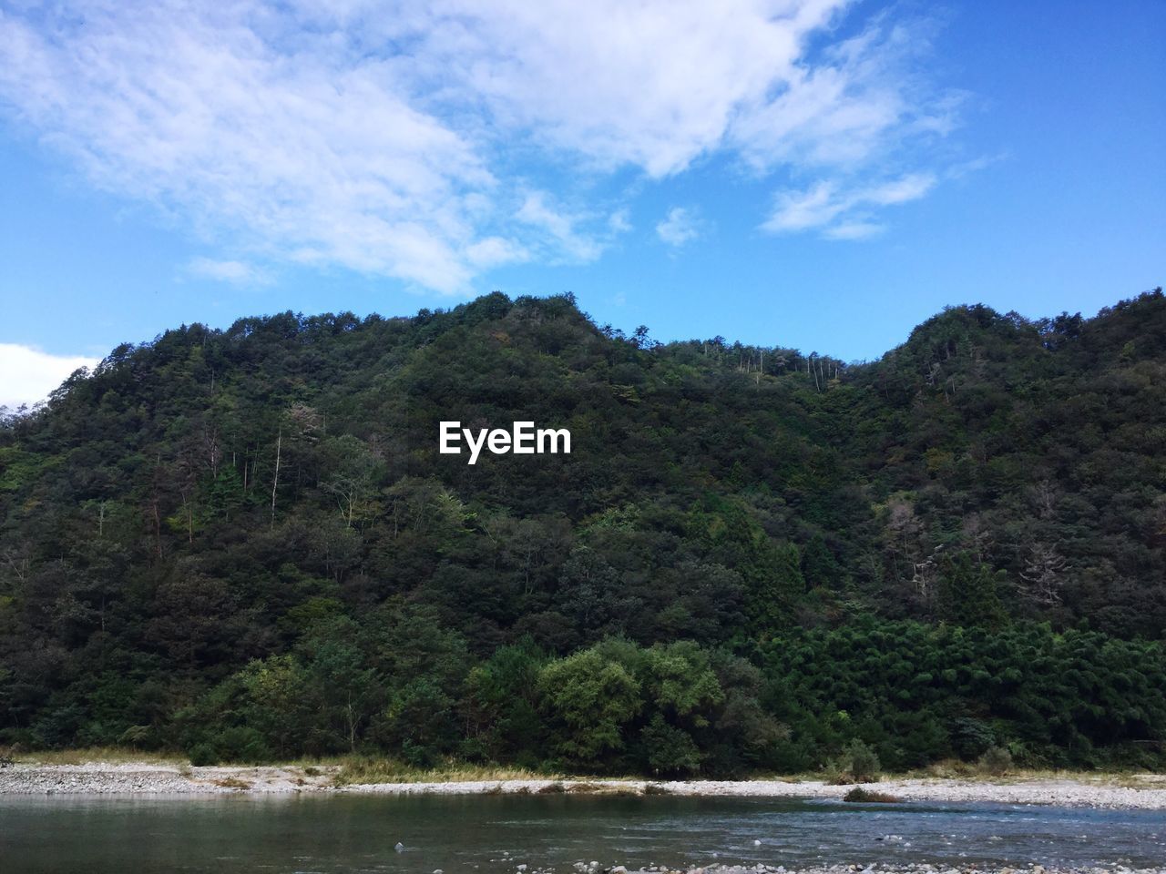 SCENIC VIEW OF TREE BY RIVER AGAINST SKY