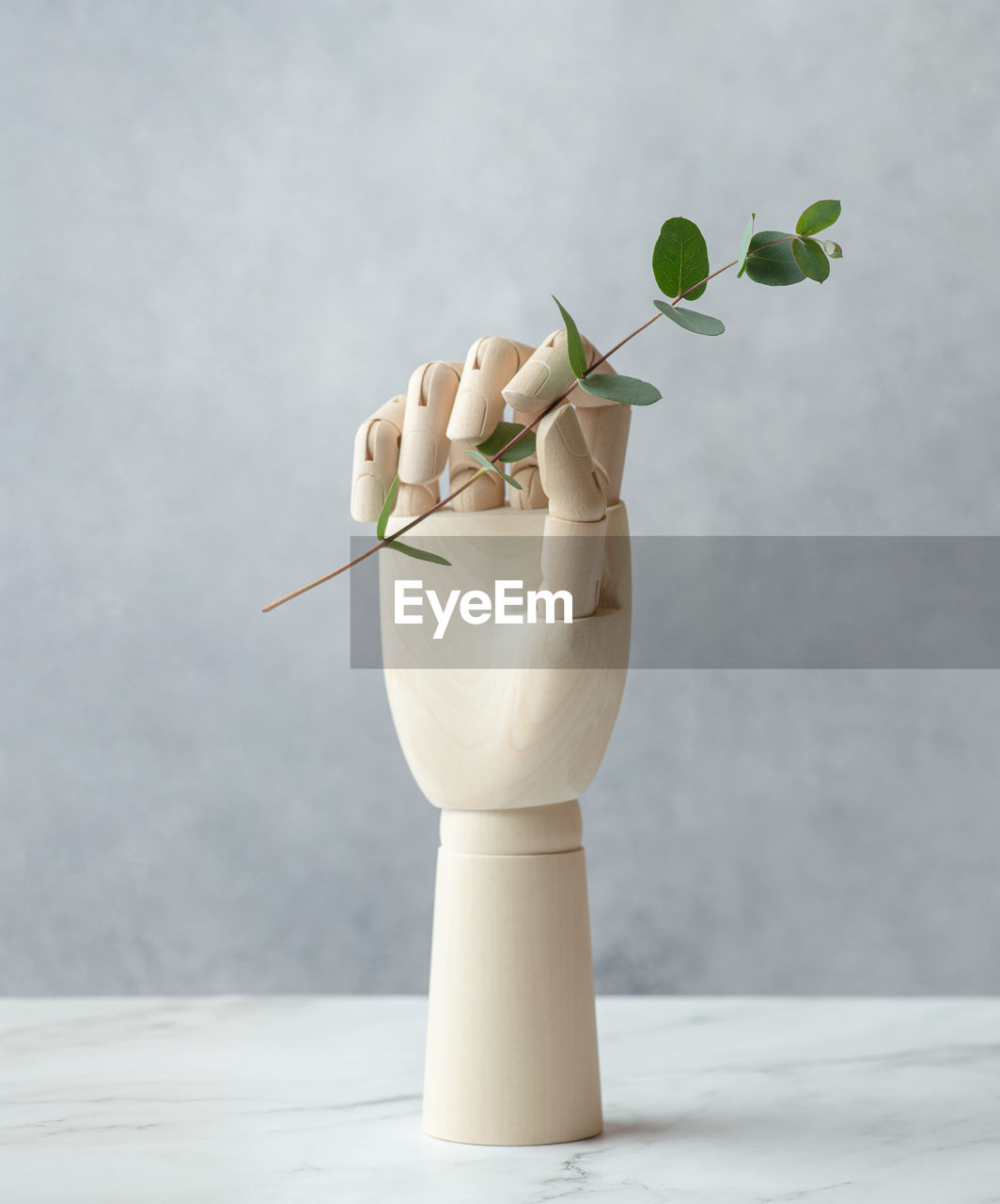 Wooden hand with eucalyptus on a gray background