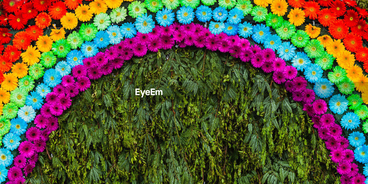 Floral rainbow in madeira flower festival, madeira island, portugal