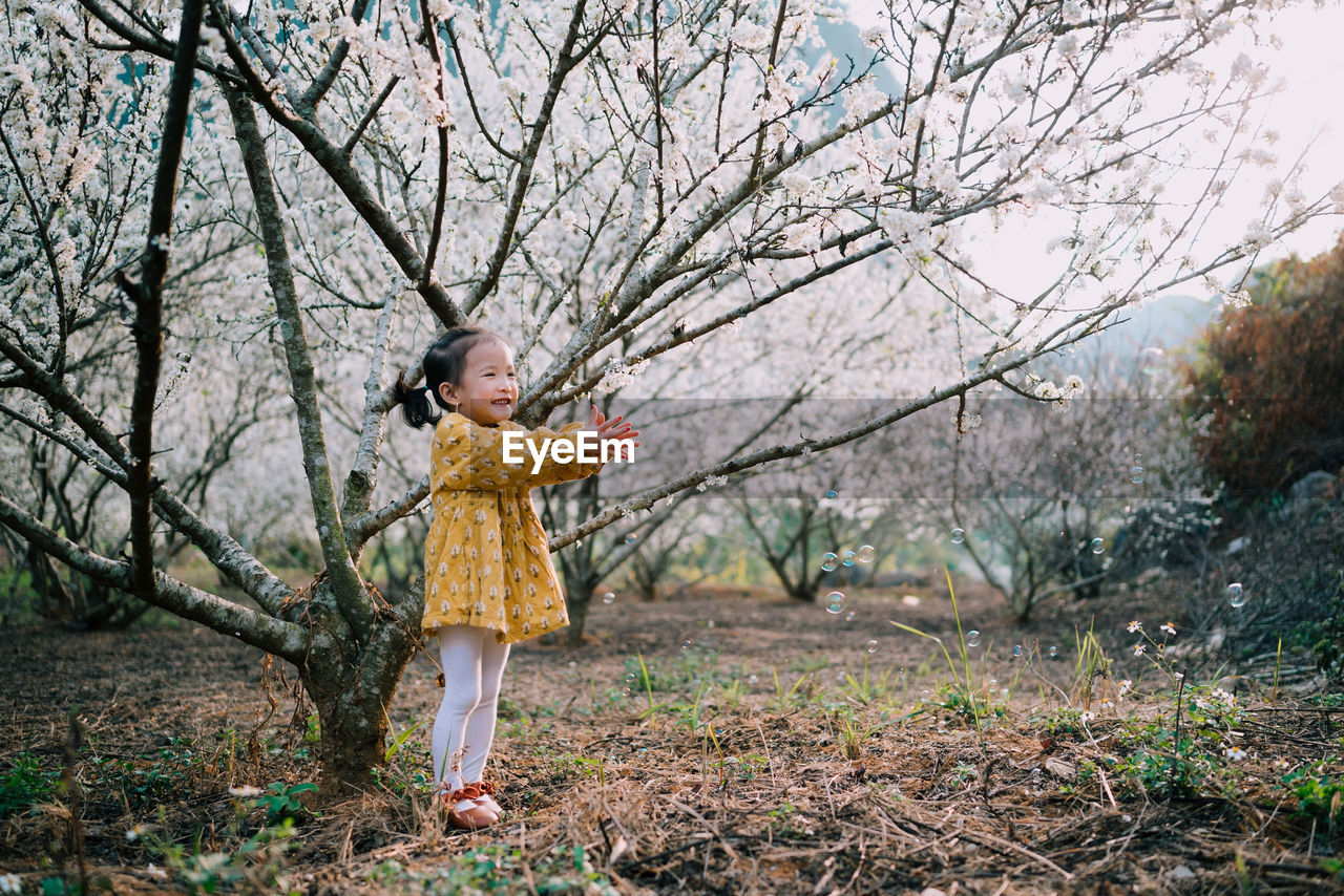 Full length of a cute baby girl in plum blossoms garden