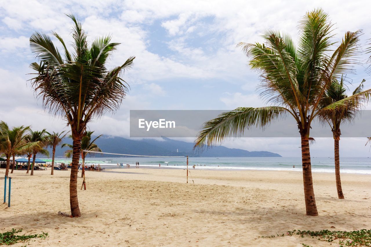 SCENIC VIEW OF PALM TREES ON BEACH AGAINST SKY