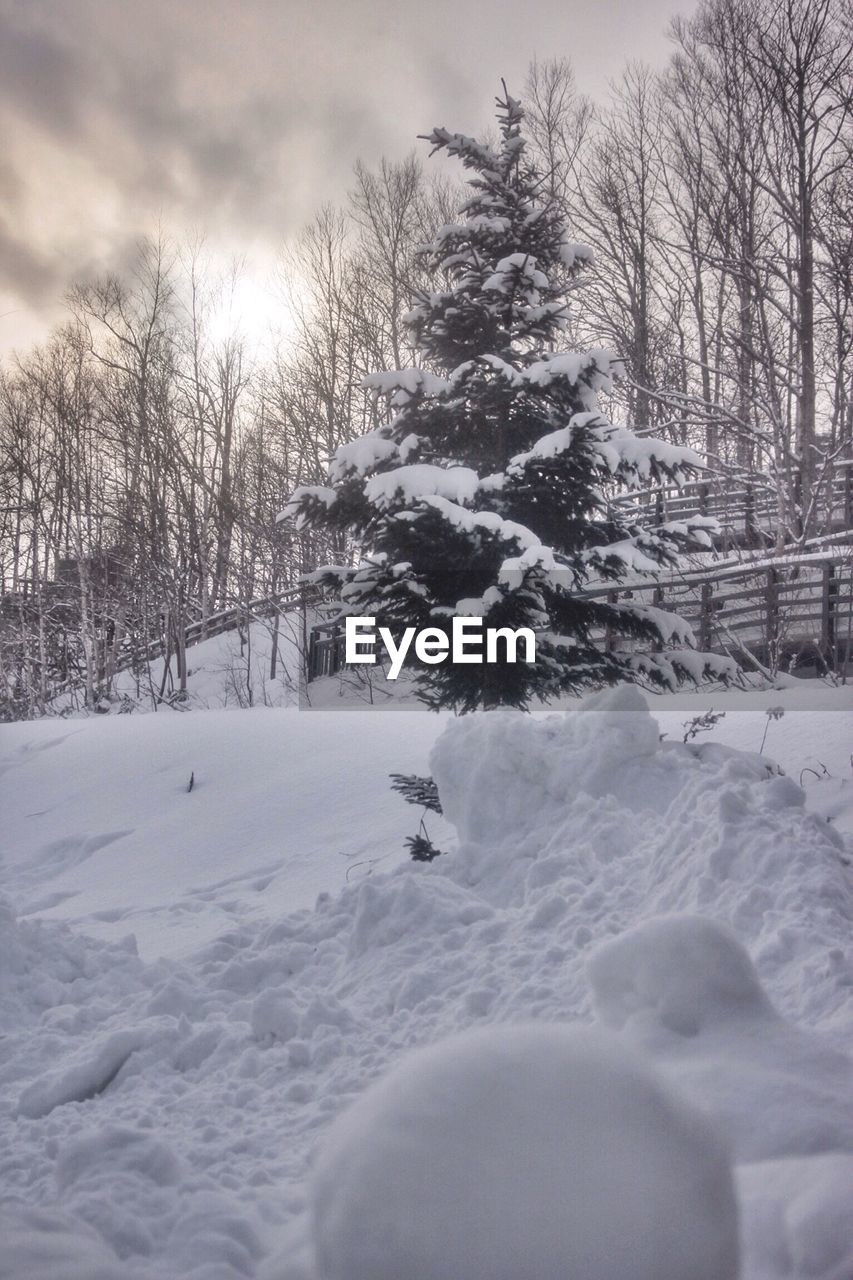 VIEW OF SNOW COVERED LANDSCAPE