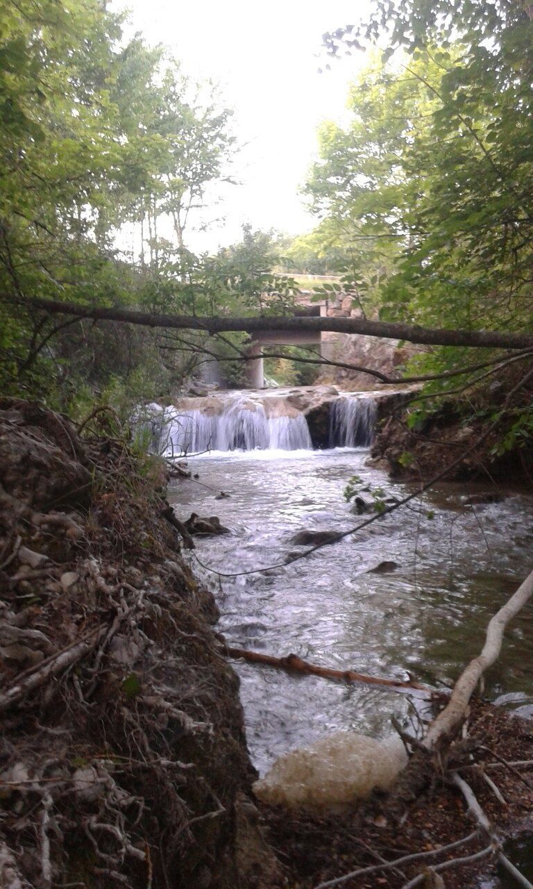 WATERFALL IN FOREST