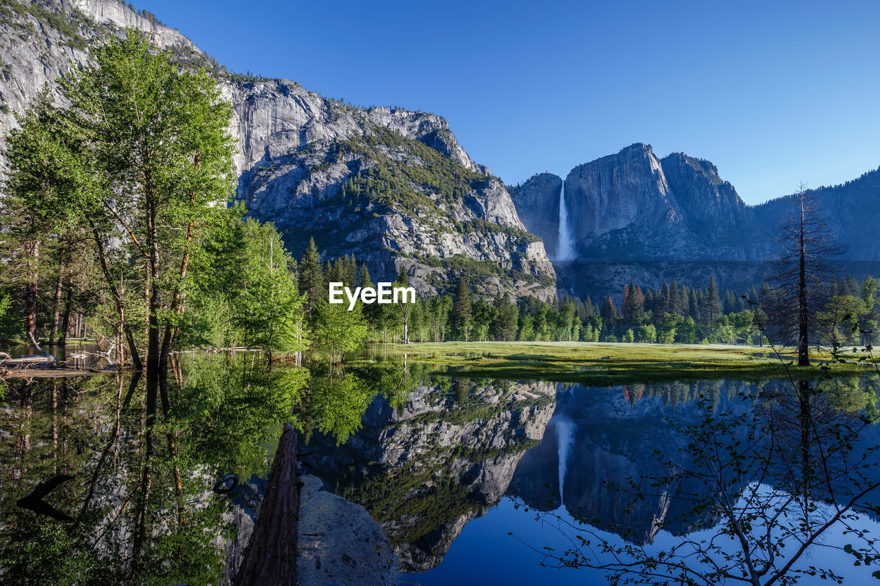Scenic view of lake in forest against clear blue sky