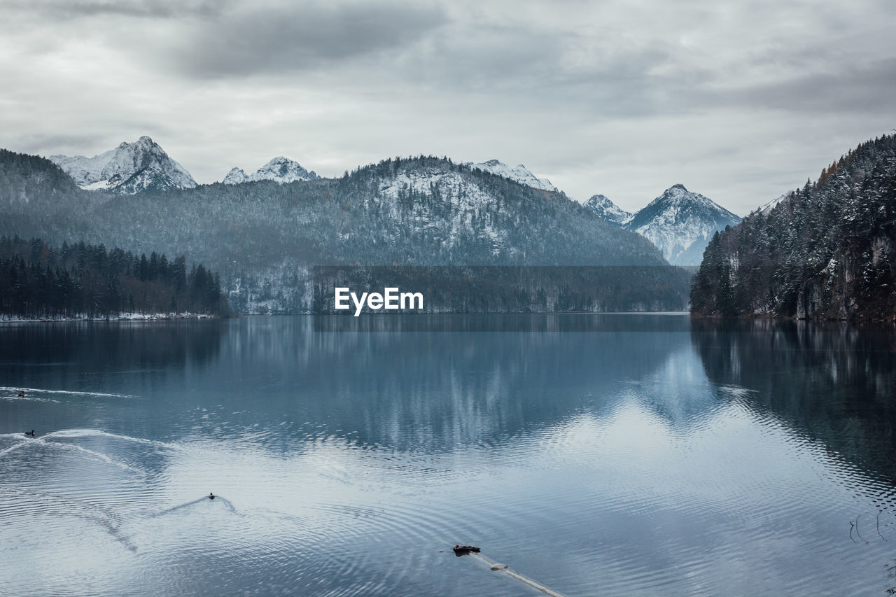 Alpine lake alpsee in schwangau, ostallgau district, bavaria, germany.