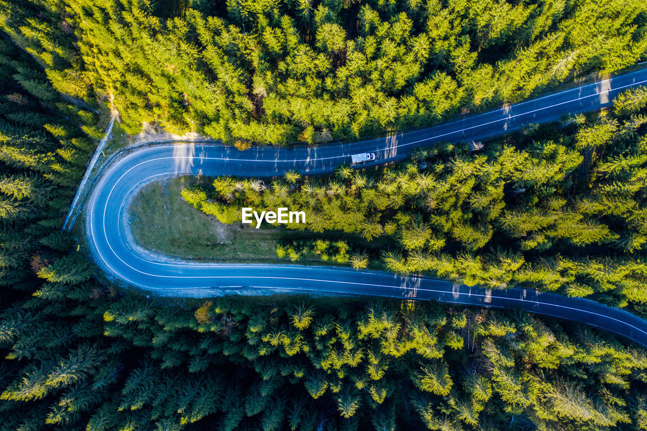 Directly above shot of road amidst trees in forest