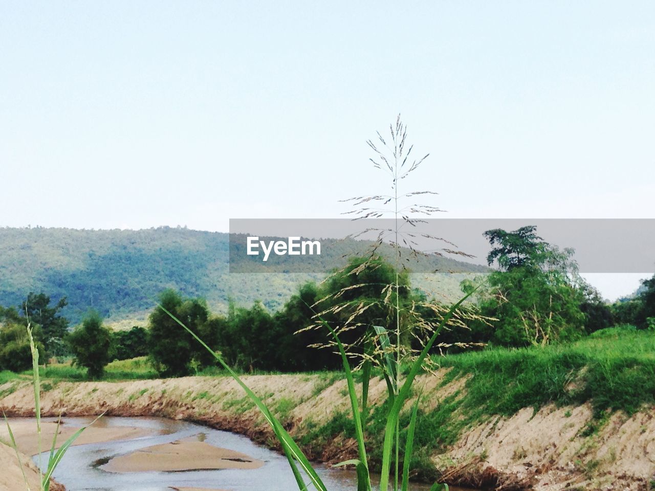 SCENIC VIEW OF LAND AGAINST SKY