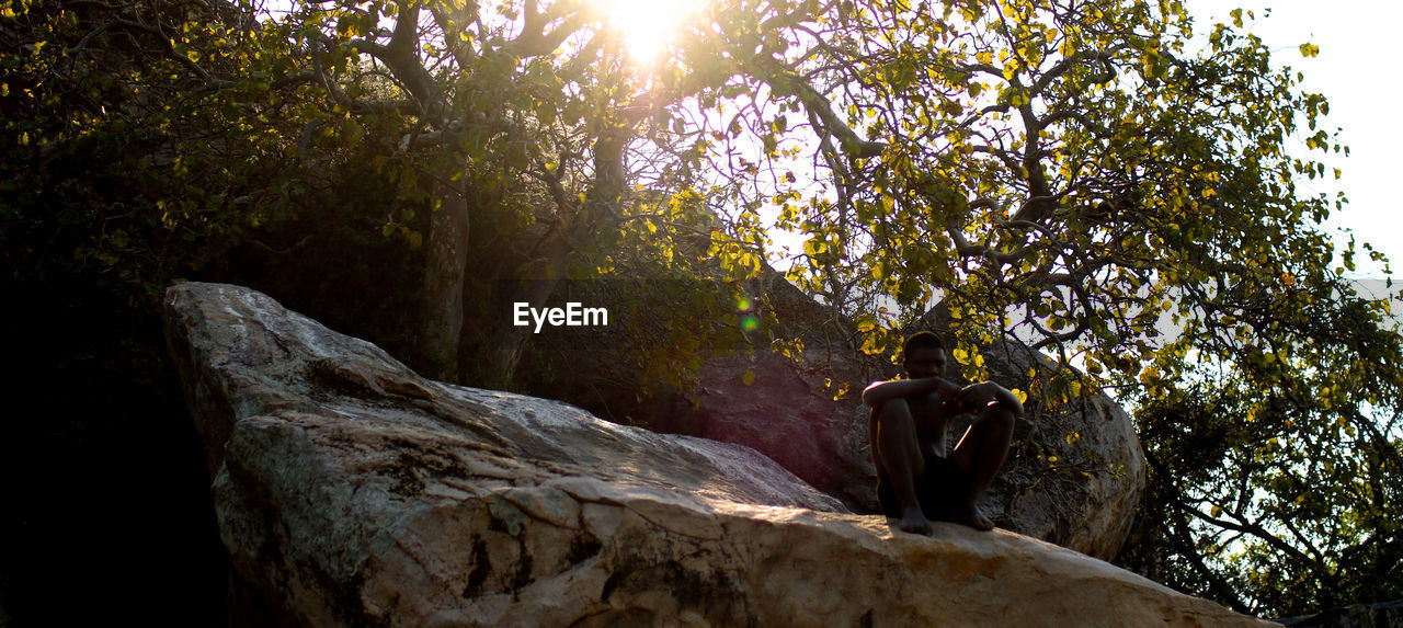 LOW ANGLE VIEW OF A YOUNG WOMAN SITTING ON TREE